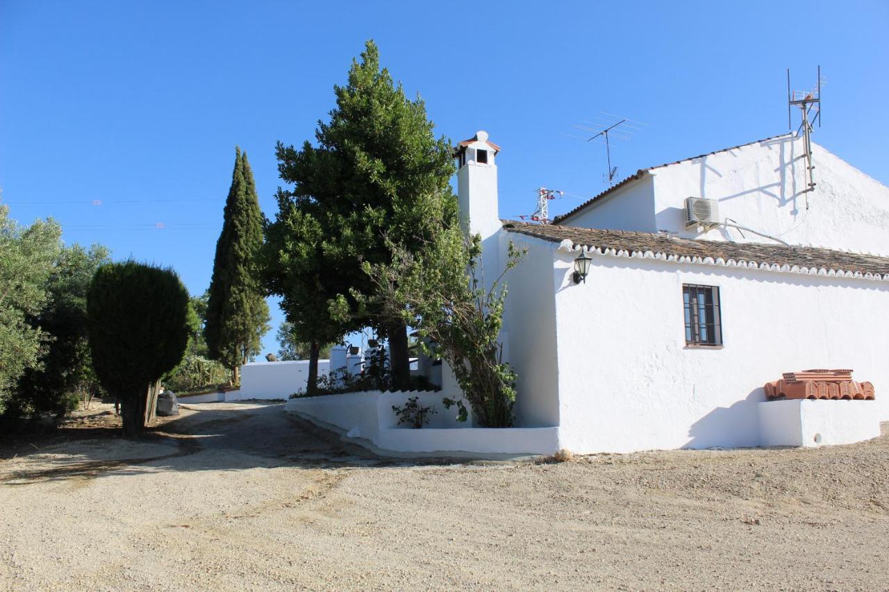 Casa Rural Faltriquera Setenil Setenil De Las Bodegas Dış mekan fotoğraf