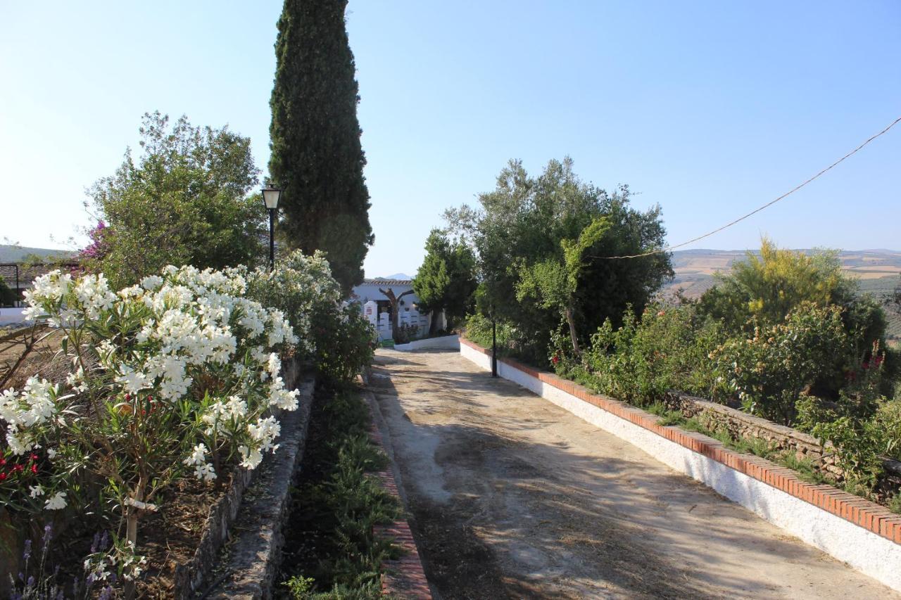 Casa Rural Faltriquera Setenil Setenil De Las Bodegas Dış mekan fotoğraf