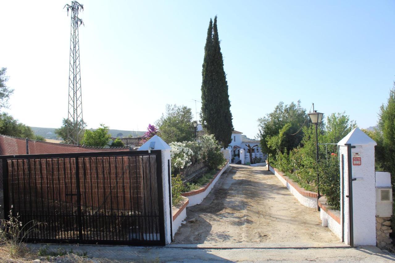 Casa Rural Faltriquera Setenil Setenil De Las Bodegas Dış mekan fotoğraf