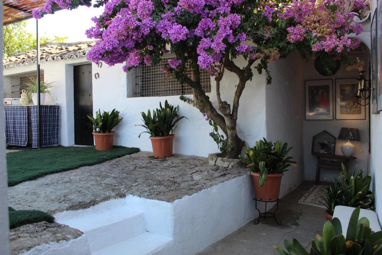 Casa Rural Faltriquera Setenil Setenil De Las Bodegas Dış mekan fotoğraf